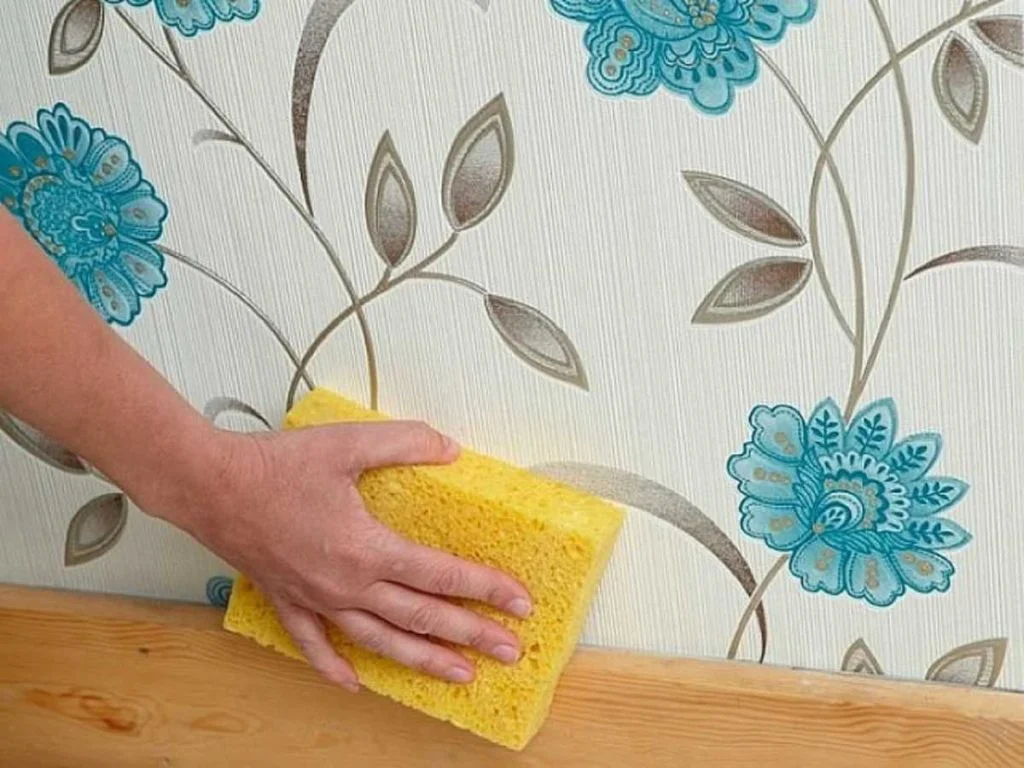 limpiar pared entelada servicio