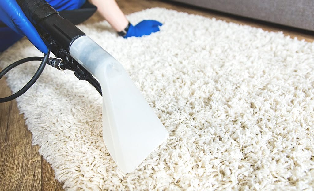 Servicio limpieza alfombras